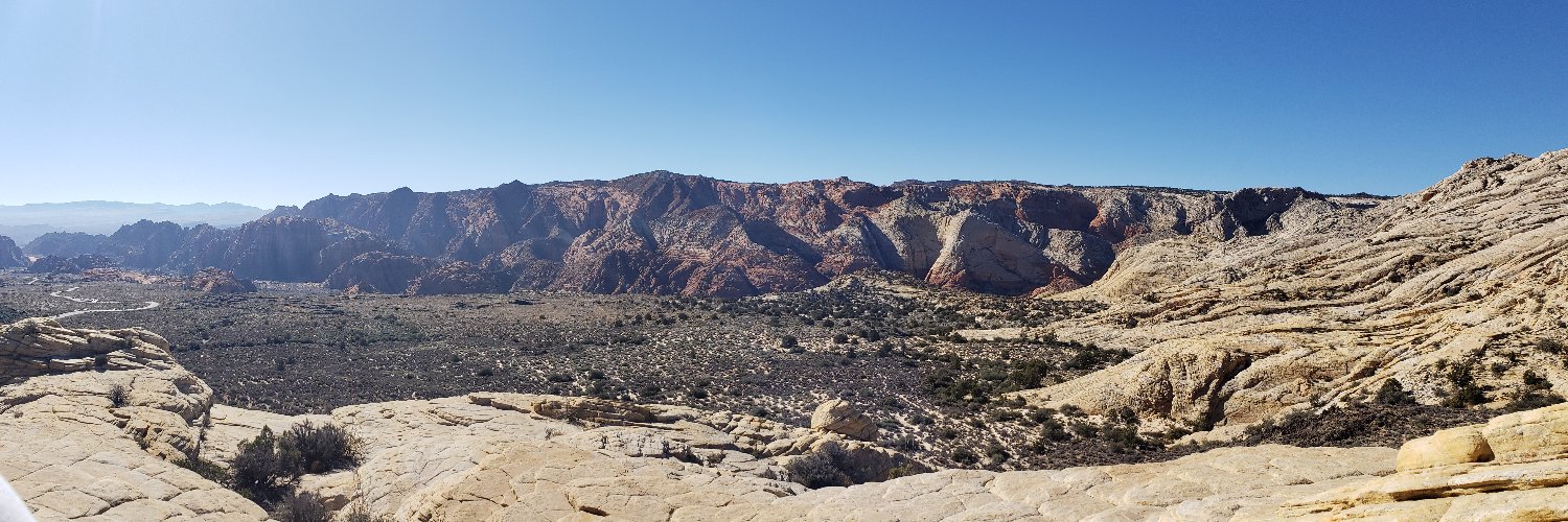 Laura Balis, PhD banner