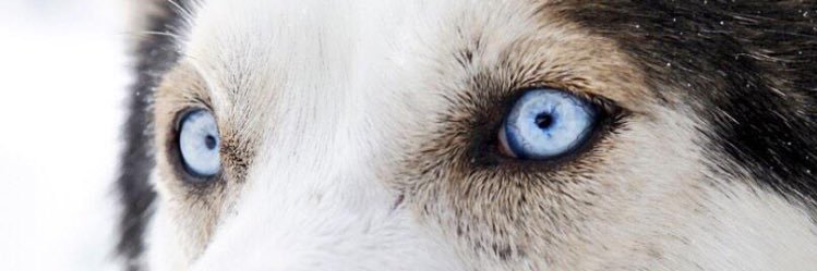 سقراط ….. banner