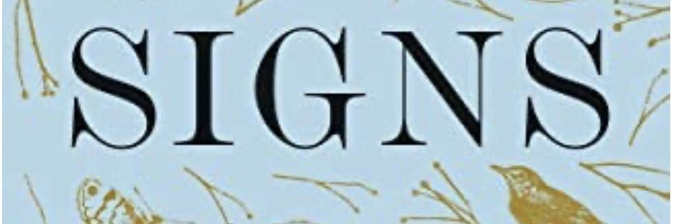 Laura Lynne Jackson banner