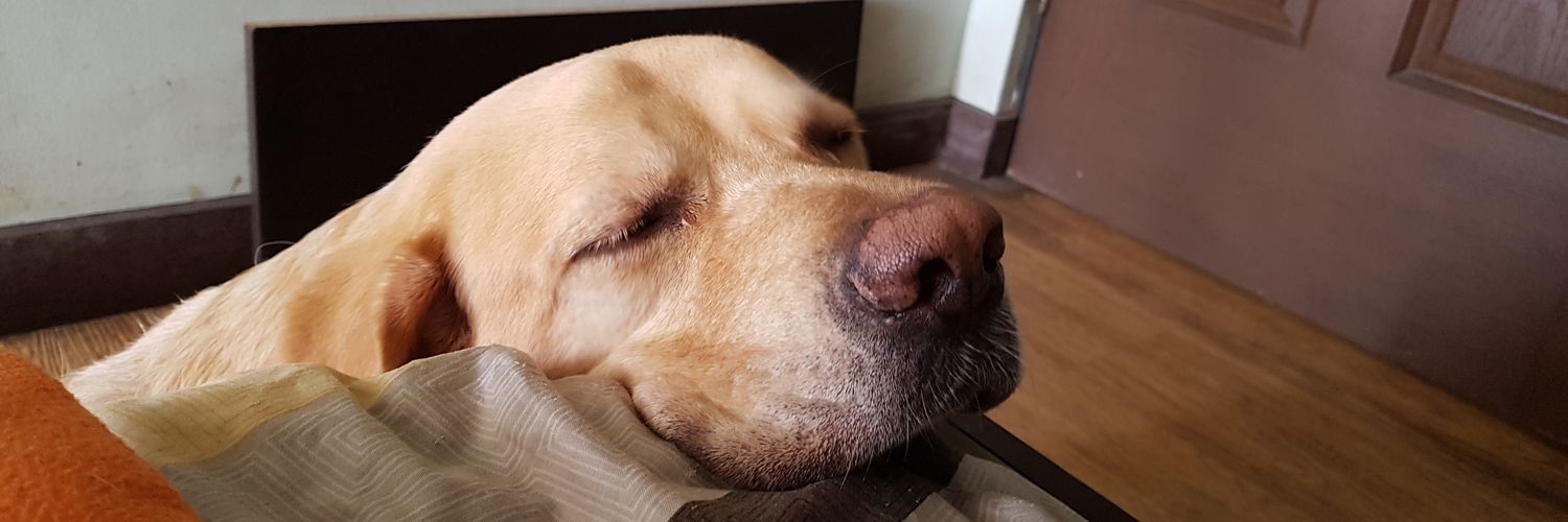 Ana Katrina 🍭☀️ banner