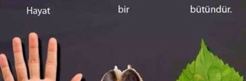 Hasan Alayoğlu banner