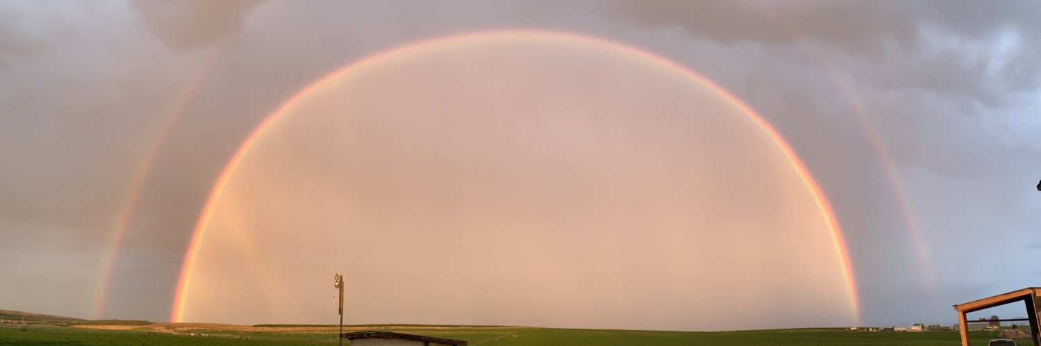 lizziimiller's profile banner image