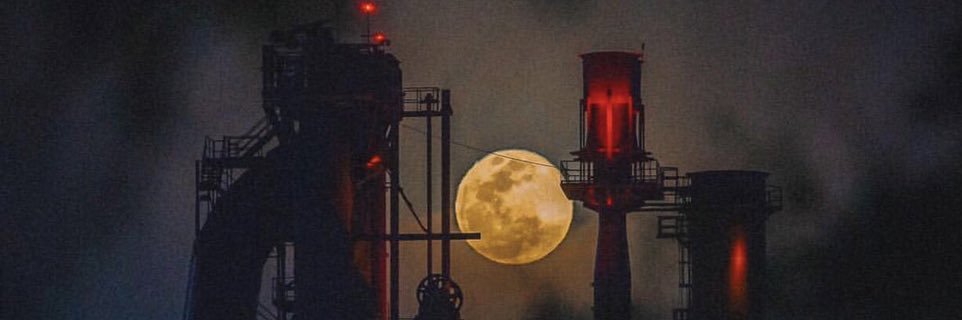 alimontoyav's profile banner image