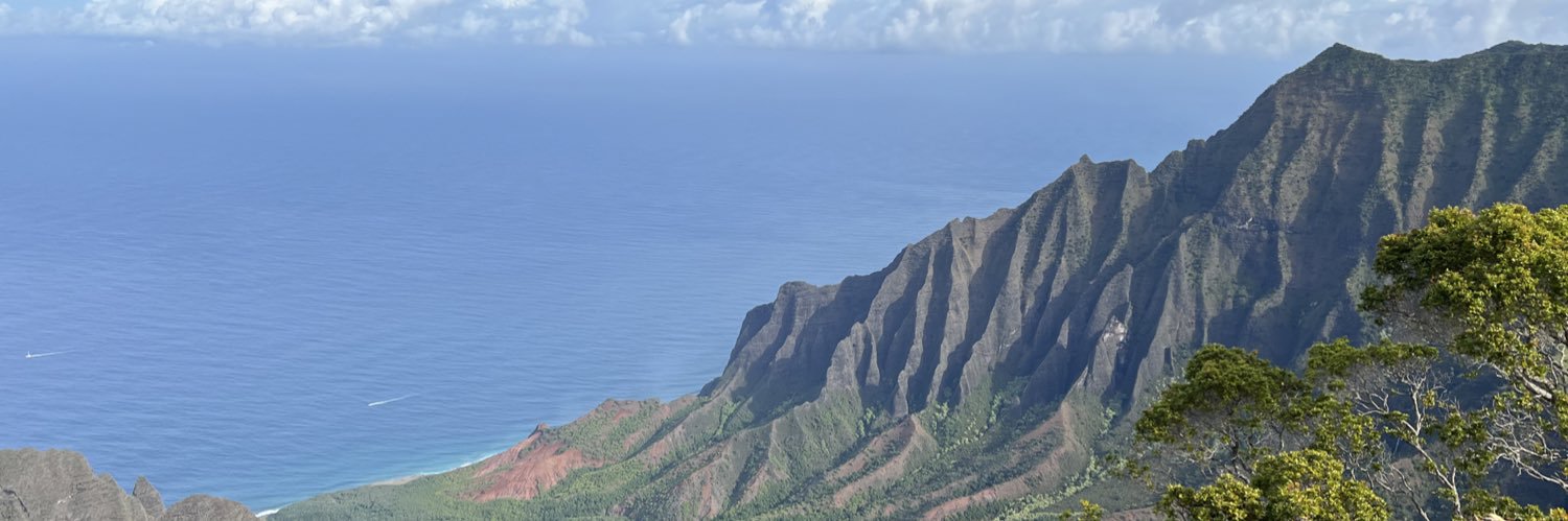 jonmetzler's profile banner image