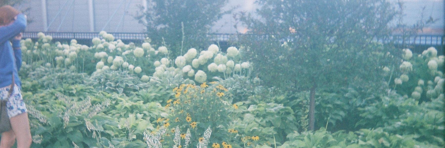leleinphilly's profile banner image
