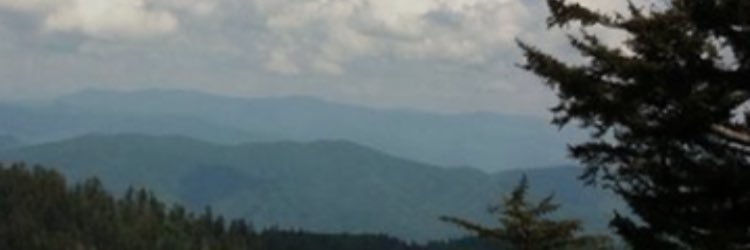 Ashley Carl banner