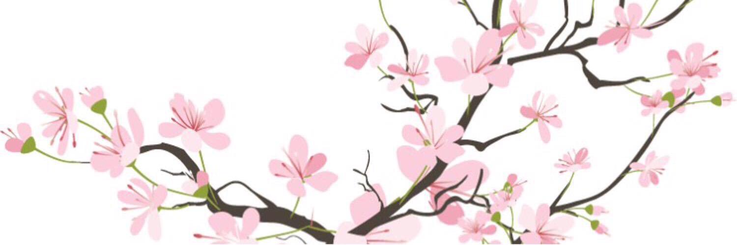 8F5's profile banner image