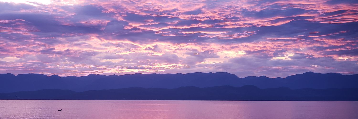 BronsonSmith's profile banner image