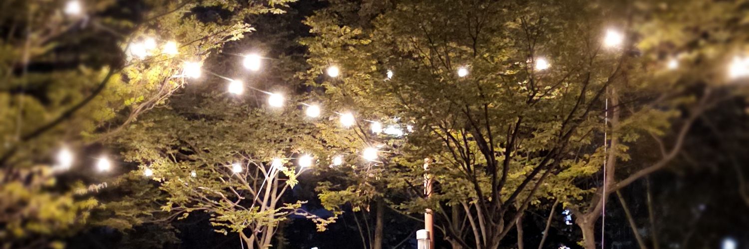 ⱤØ₥ł₦ banner