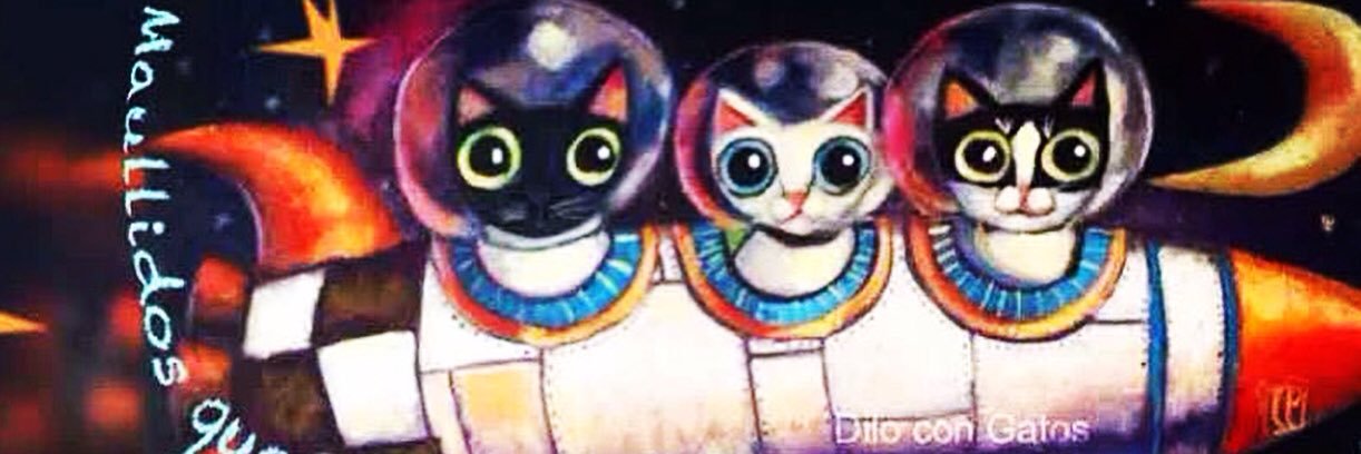 dilocongatos's profile banner image