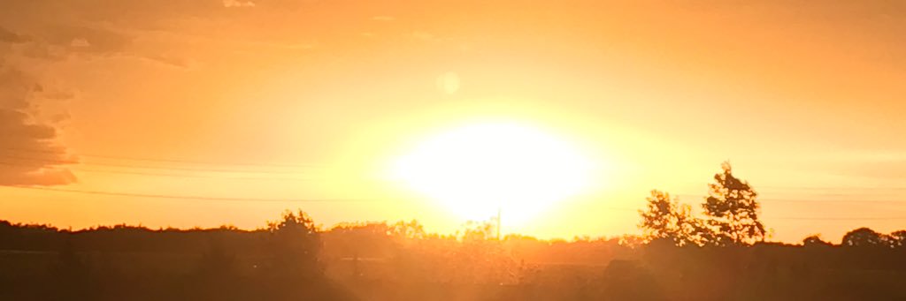 TreyDenno's profile banner image