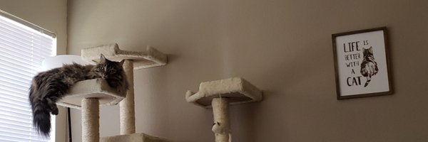 MarshallScottOK Profile Banner