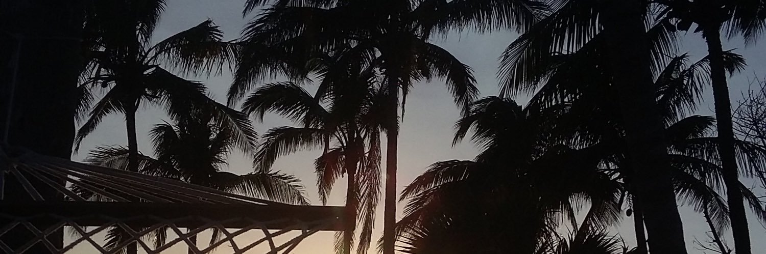 nicolleras's profile banner image