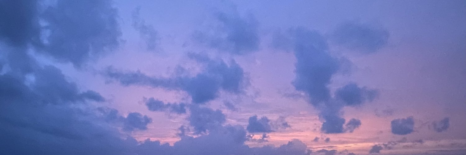 Louise Anne Finch banner