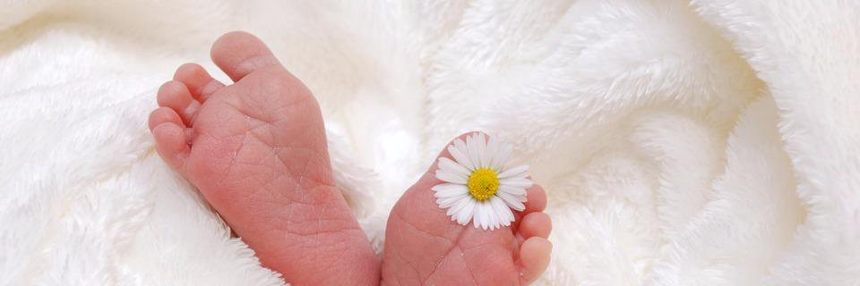 Pixababy banner