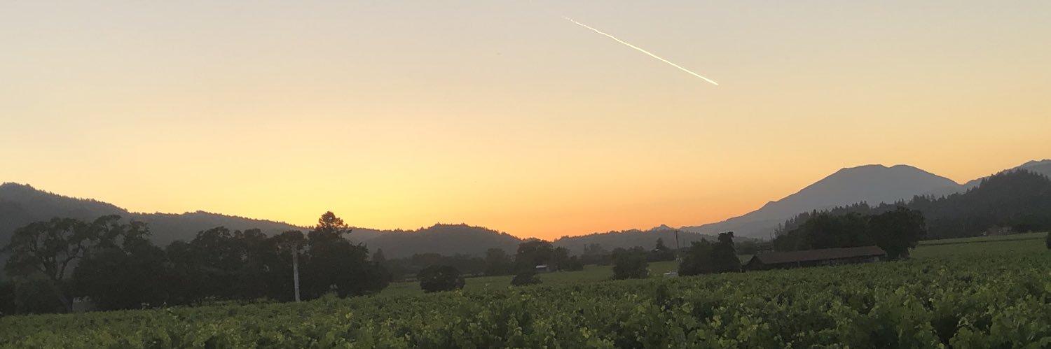 brookpaul2's profile banner image