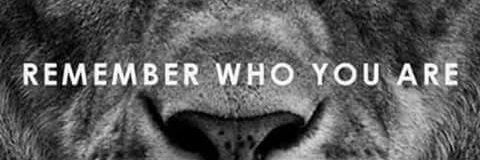 vince_croc's profile banner image