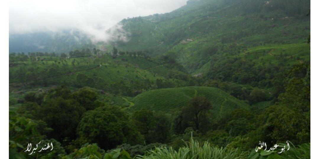 أبو عبد الله البشري banner