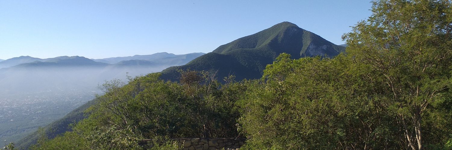 Tú crees que no soy profesional? banner