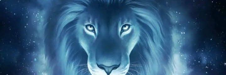 alexx_ws's profile banner image