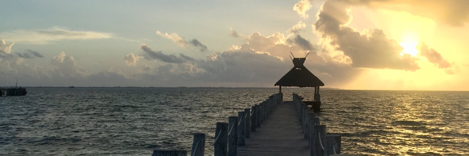 mxreeves's profile banner image