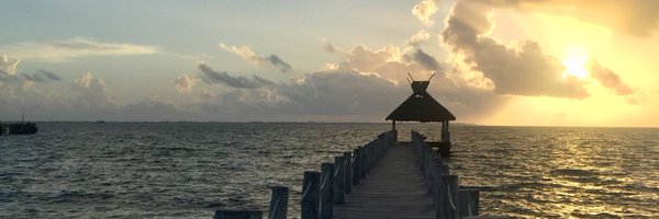 mxreeves Profile Banner