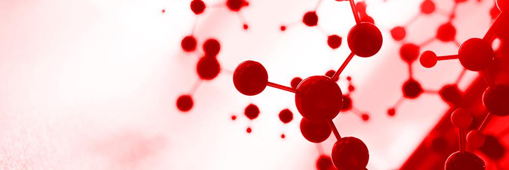 BiocellT banner