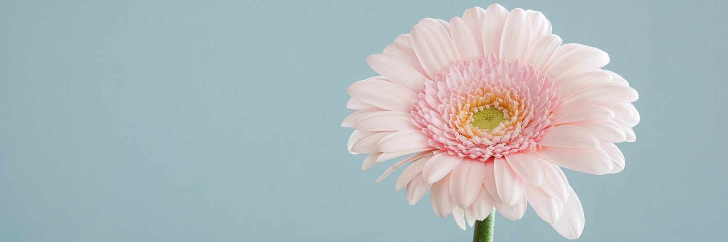 NataBezz's profile banner image