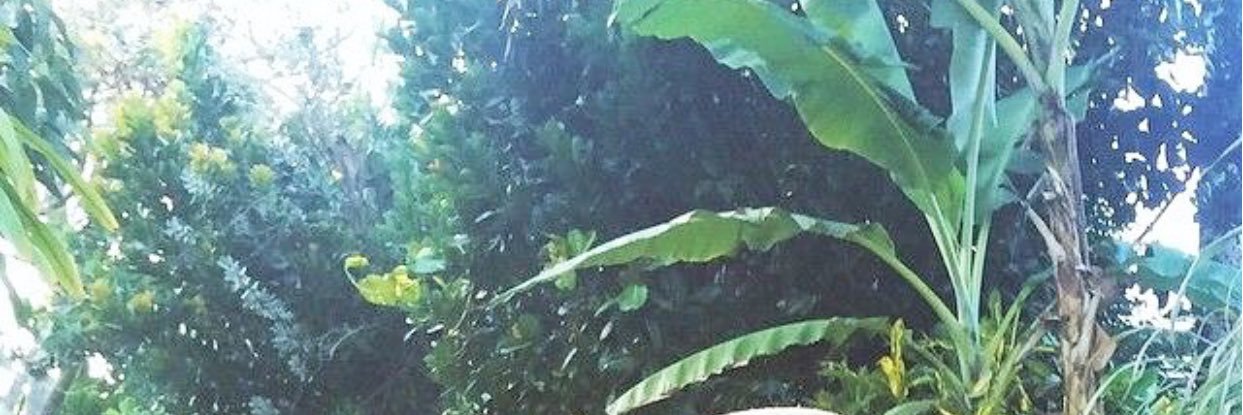 daria_noor's profile banner image