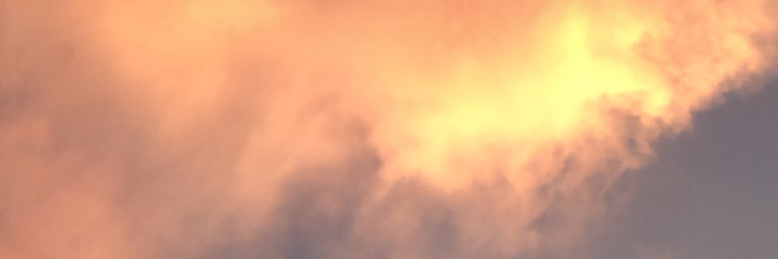 phamminnie's profile banner image