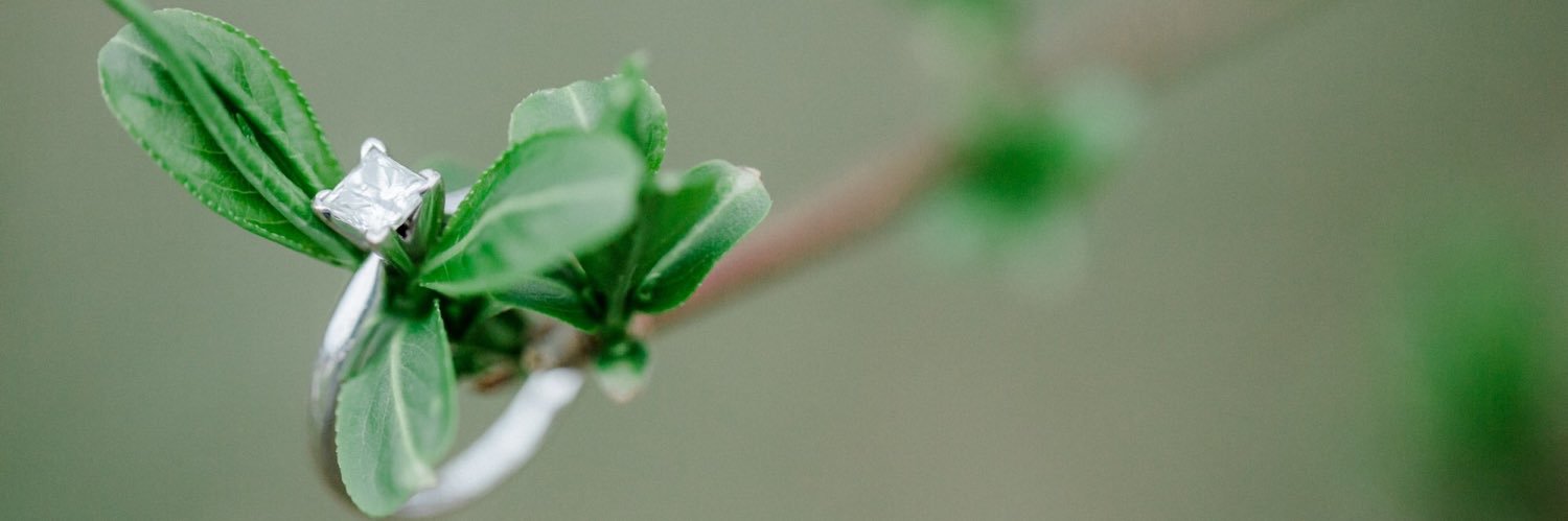 esnape's profile banner image