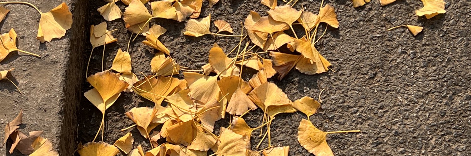 masterbwol🥣 banner