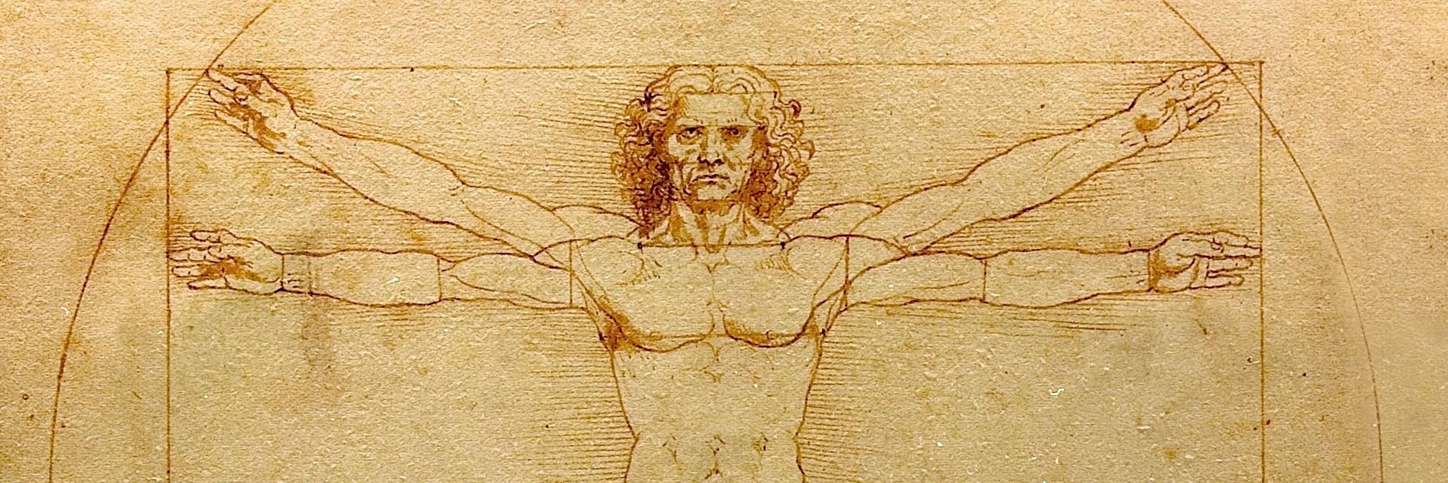 StephenCapucio's profile banner image
