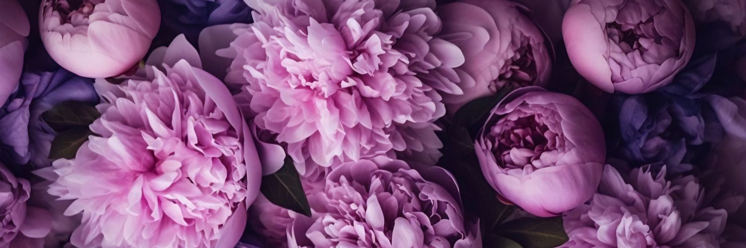 Kimouille_'s profile banner image