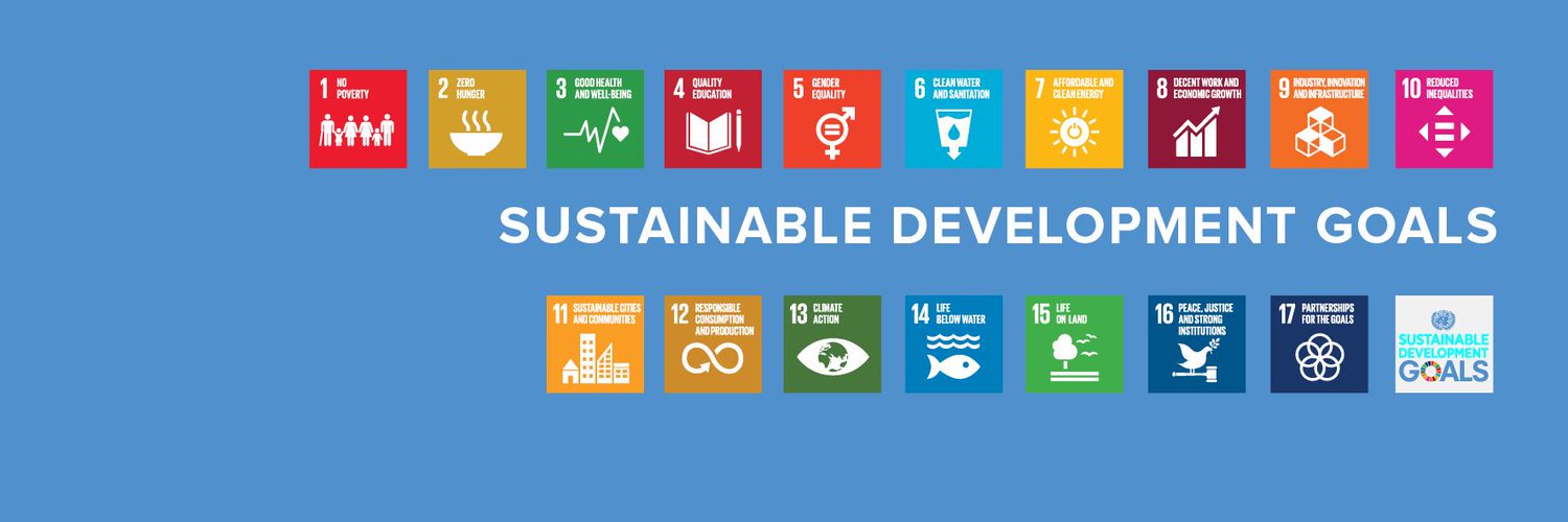 Hanaa Singer-Hamdy banner