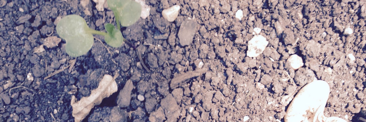 allsoils's profile banner image