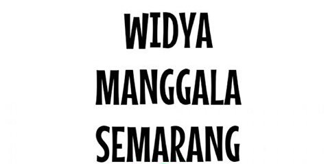 Lia_Ratnasari banner