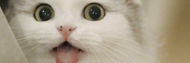 ont38's profile banner image