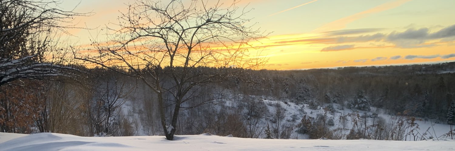 tanneracton's profile banner image