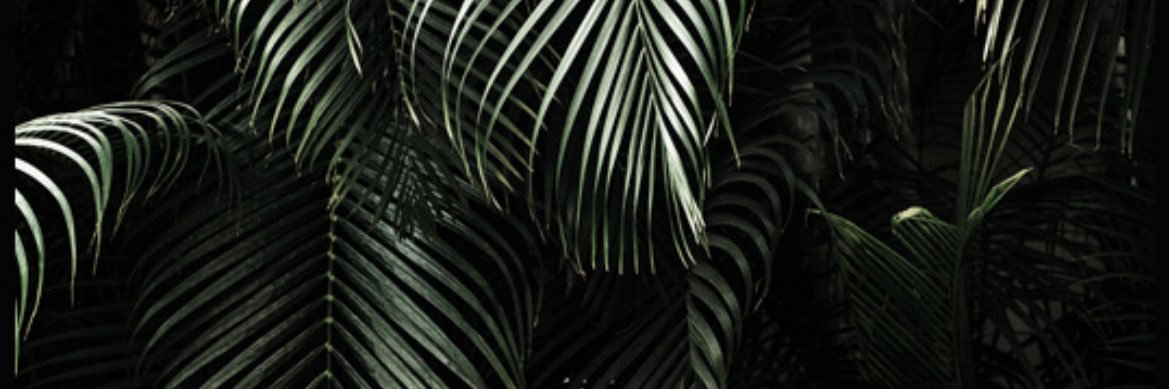 MirandaBePimpin's profile banner image