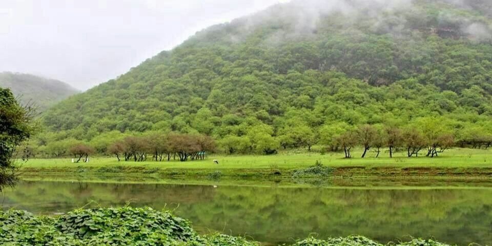 ابو نواف 🇸🇦 القارة السعودية العظمى banner