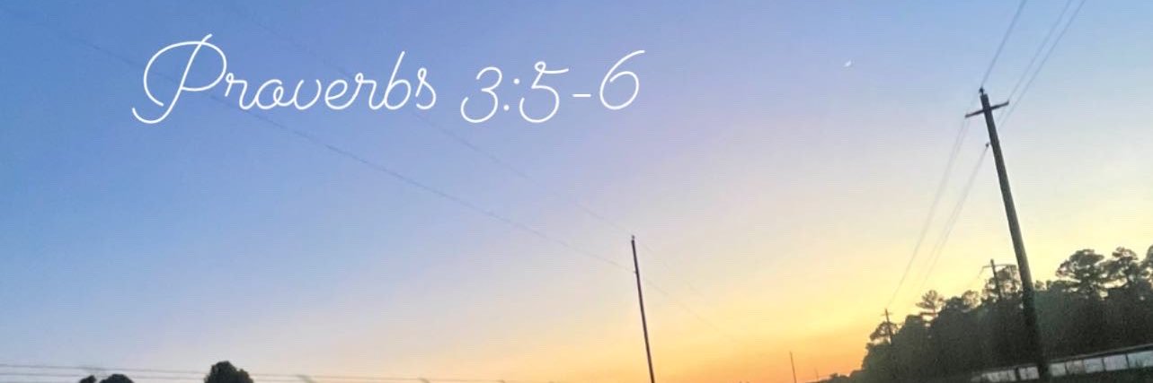 Slimeballtom's profile banner image