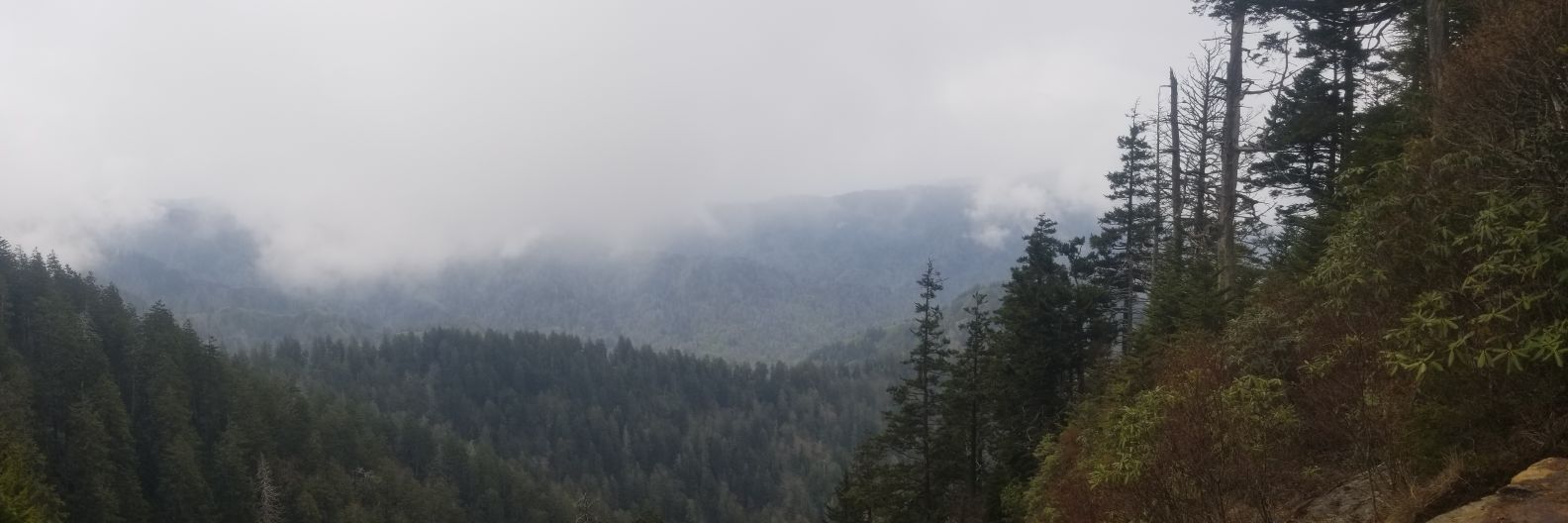stew_33's profile banner image