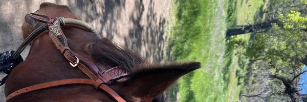 bumcalfhidecape Profile Banner