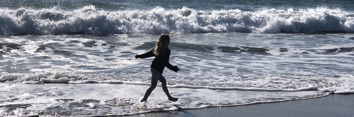 Holly Hick, Ph.D banner