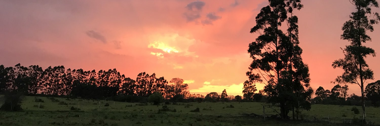 Percaraleo's profile banner image