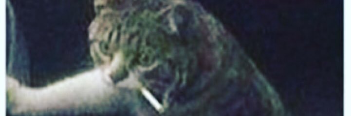 K_JIBBY's profile banner image