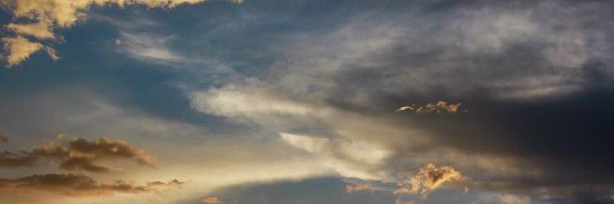 Ryland Lynch banner