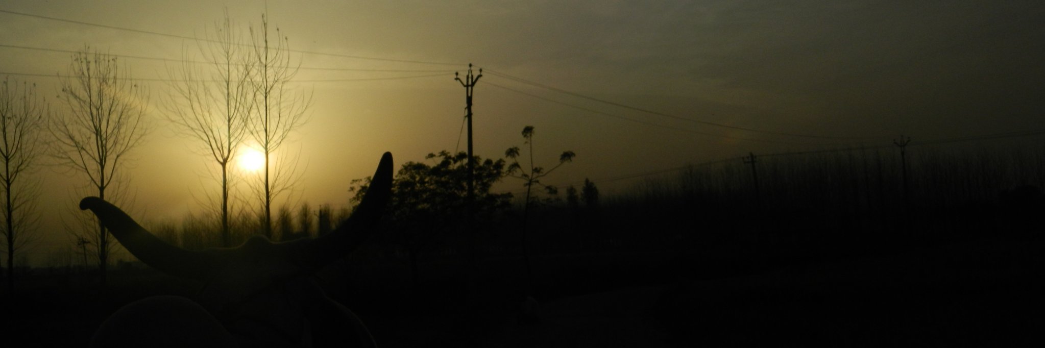 tejikharoud's profile banner image
