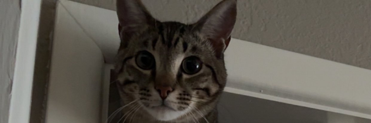 _thatrobguy_'s profile banner image